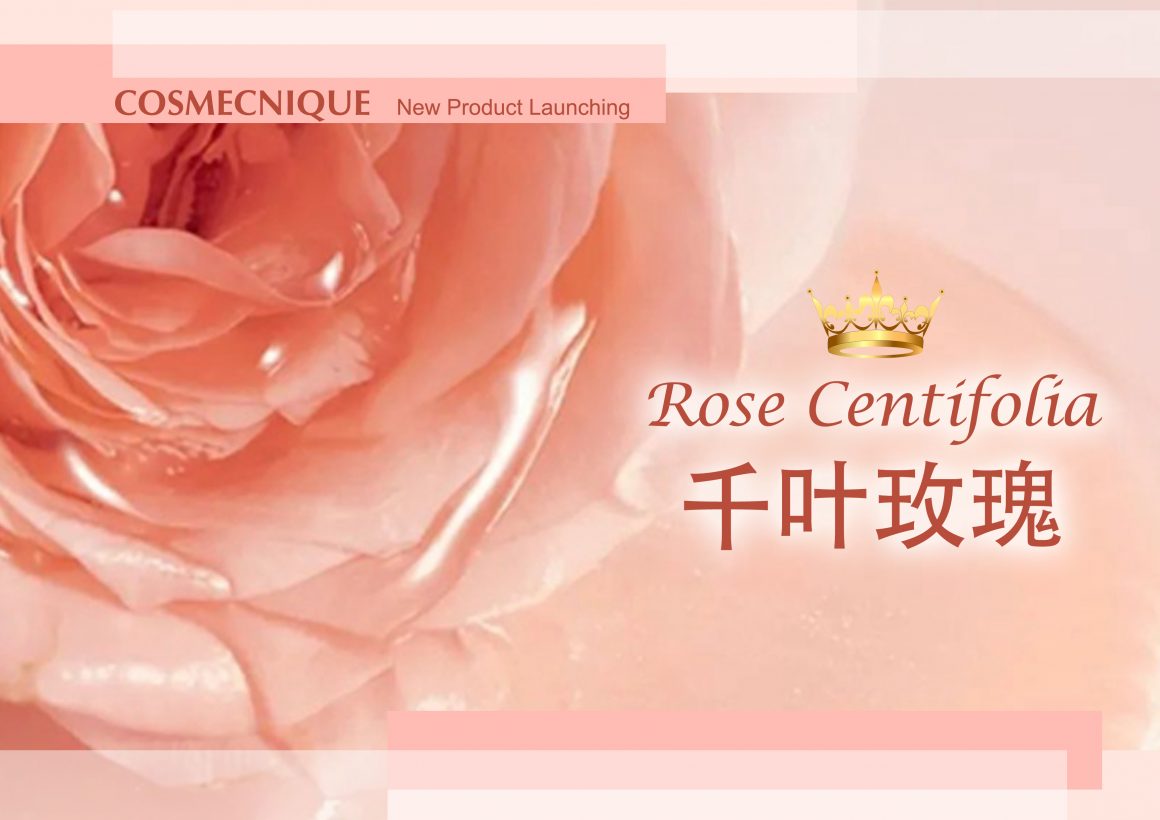 Cosmecnique Rose Centifolia Booster & Face Oil Series