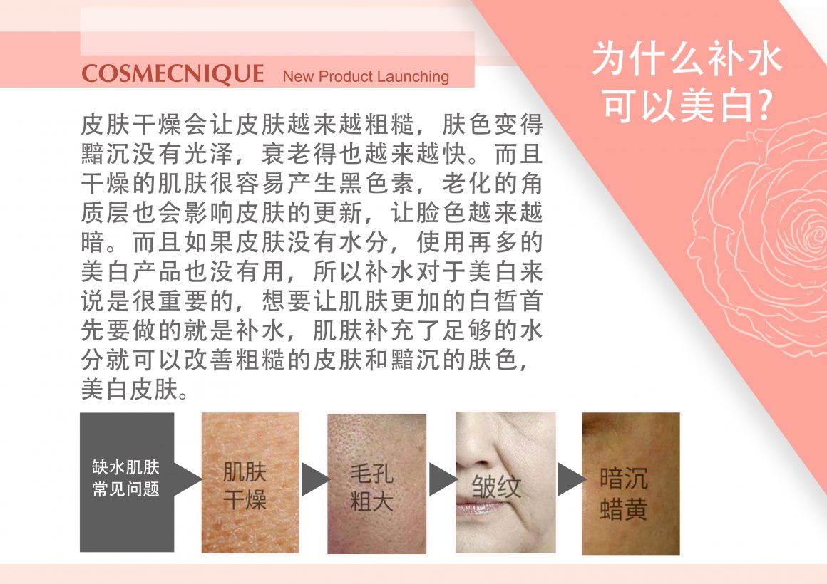 Cosmecnique Rose Centifolia Booster & Face Oil Series