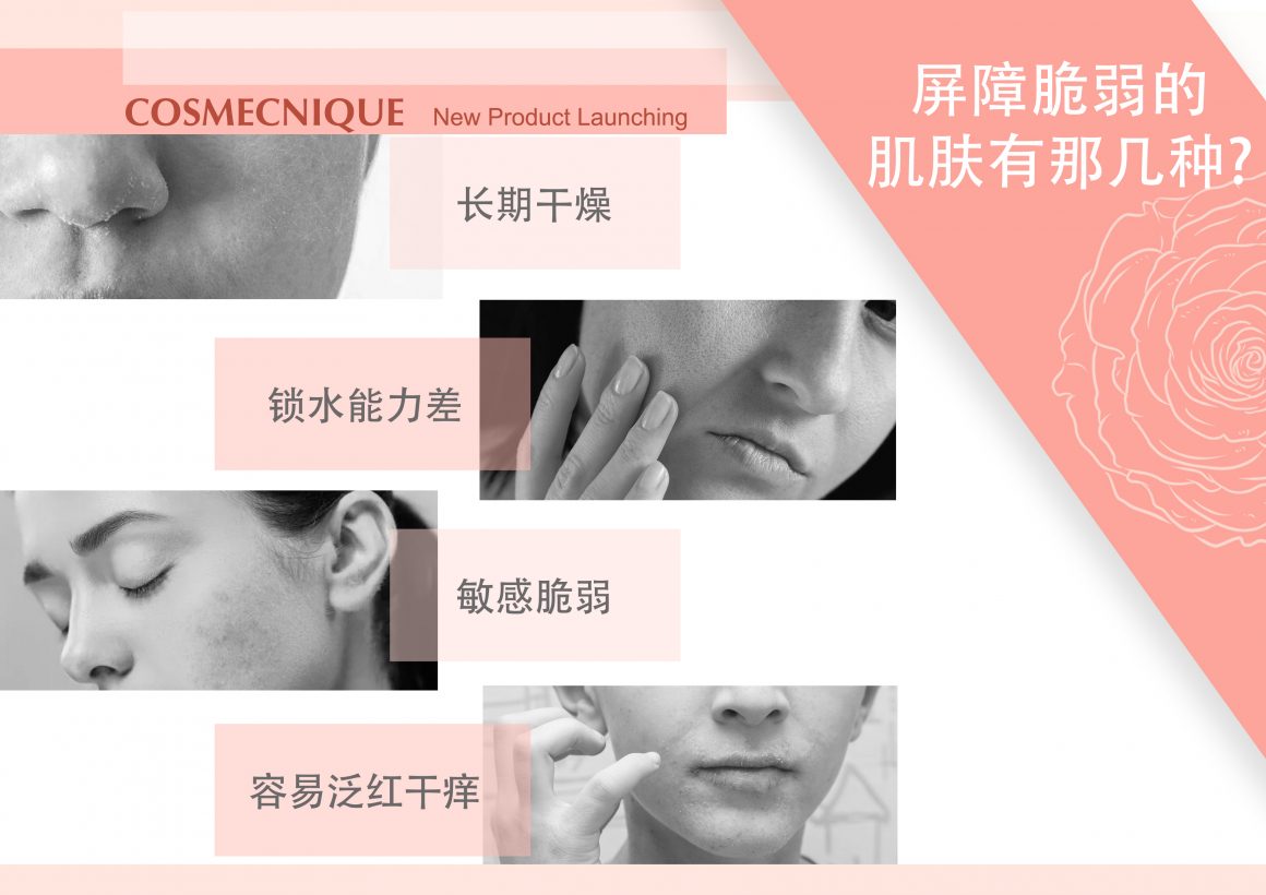 Cosmecnique Rose Centifolia Booster & Face Oil Series