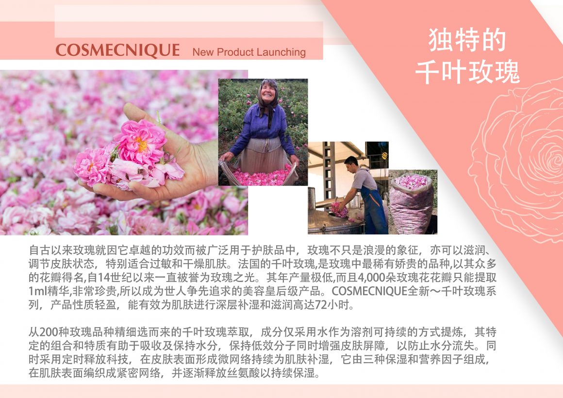 Cosmecnique Rose Centifolia Booster & Face Oil Series