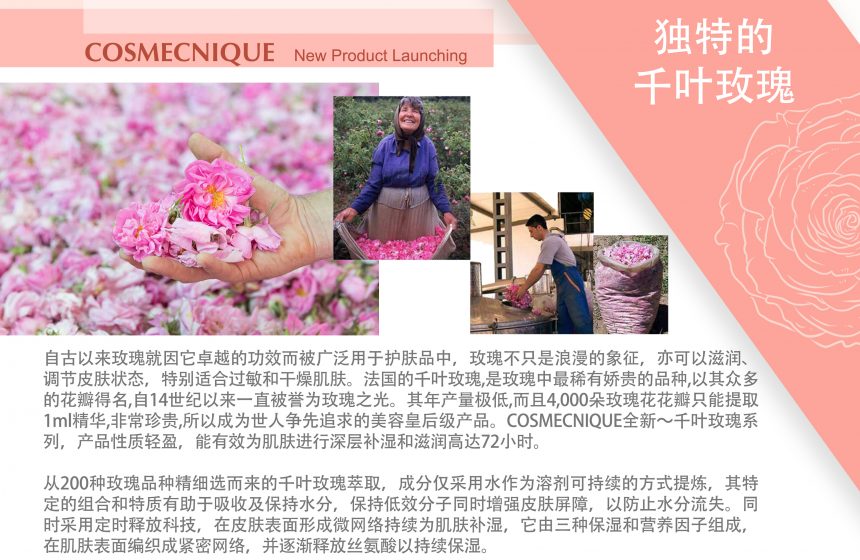 [千叶玫瑰粉红水油CP精华液] 培训课程